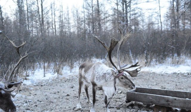 我国最早进入冬天的四座旅游城市此时已达零下,必须穿毛裤