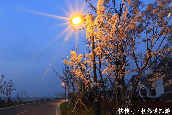 日本游客在中国购物，特别疯狂，网友：原来他们喜欢这三样