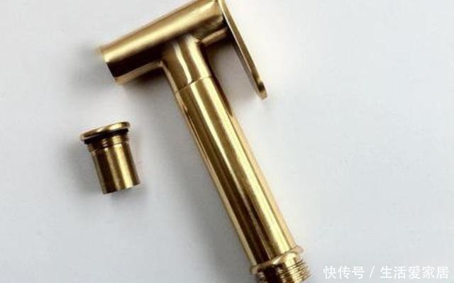 「解决」厕所清洁问题怎么解决?在马桶旁安装这''东西'',解决了卫生难题