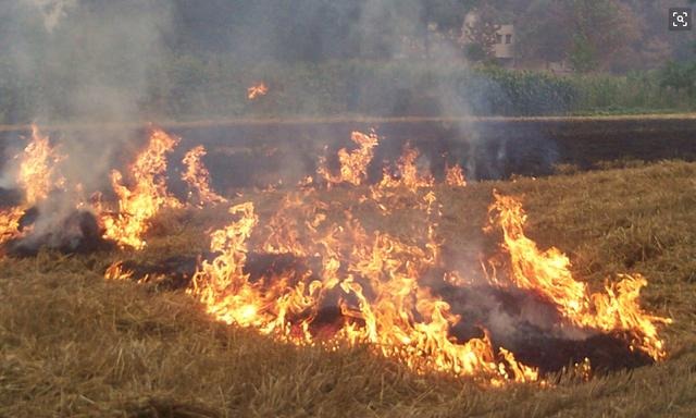 从今天起，农村将禁止做这5件事