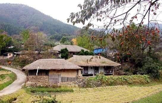 韩国的农村是什么样的？