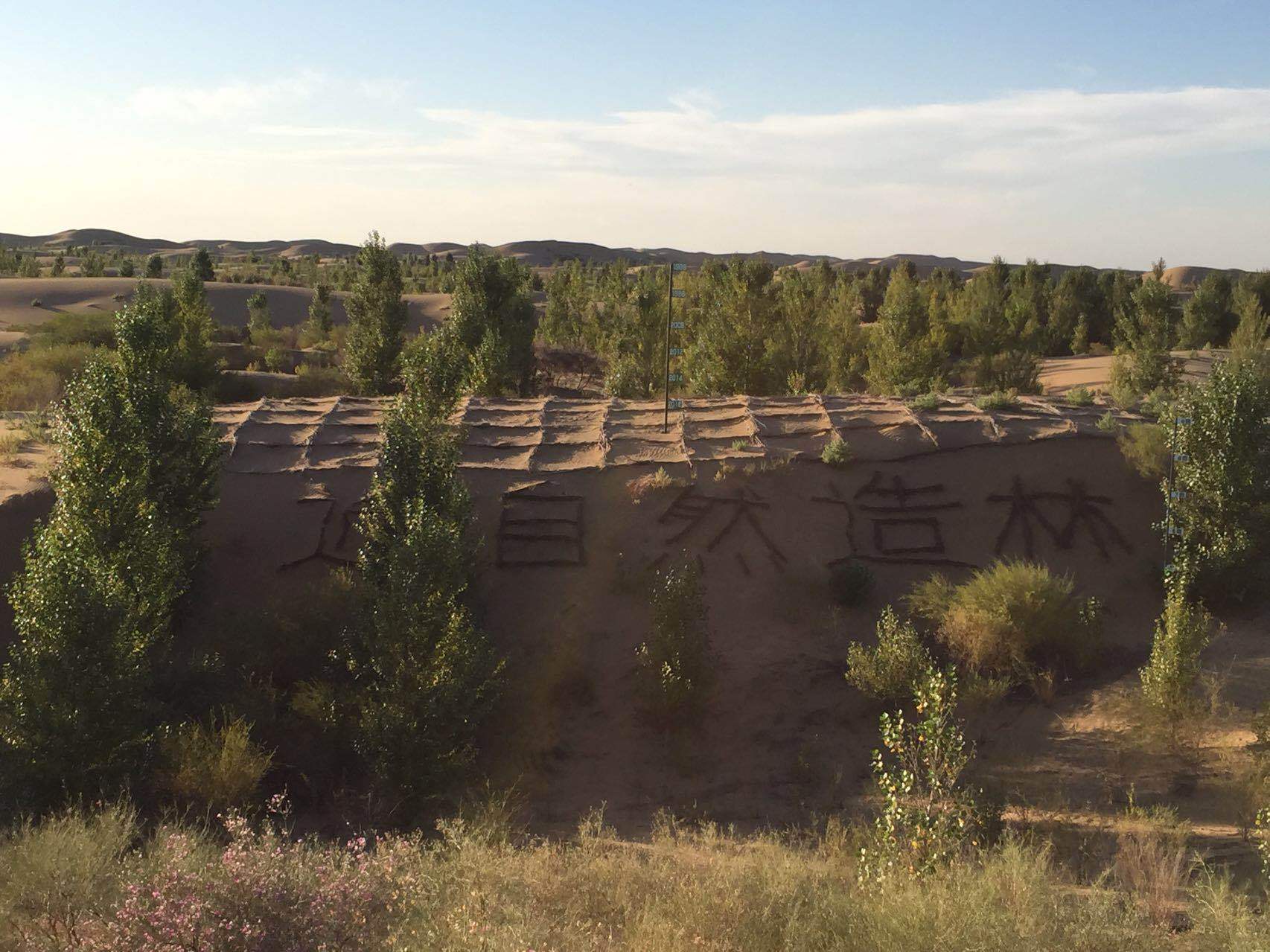 中国式奇迹：村民在电站养鸡羊，比上海大3倍的沙漠1/3变成绿洲