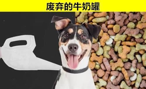  【你家里】10个人们常常都会扔掉，但其实却“价值不菲”的东西