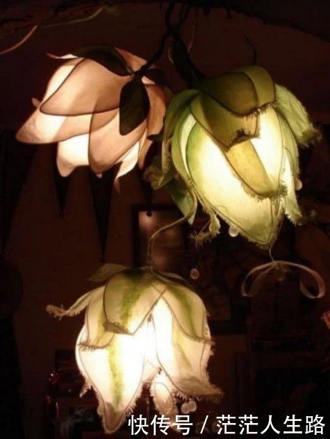 深圳市前海聚众投资的头条主页 - 今日头条(ww