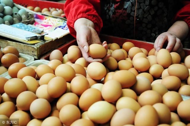 鸡蛋价格持续下跌，别高兴的太早，还会涨回来的！