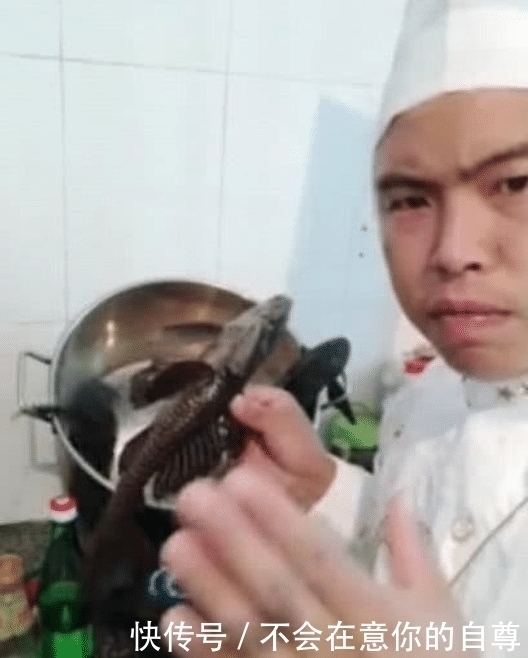「巨兽」清道夫终结者!成吨清道夫,这些食肉巨兽瞬间吃完,网友:过瘾!