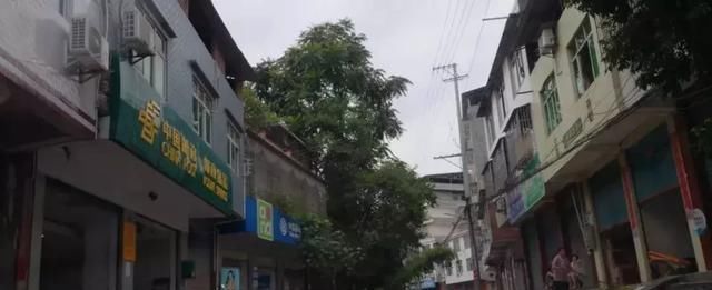 路过蓬安天成乡,想起当年被枪毙的国民党国军少将母坤荣