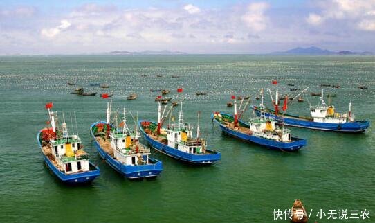 捕鱼敢死队:休渔期价格高昂,他们铤而走险上船