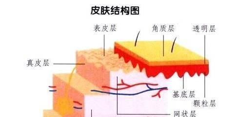  卸妆@皮肤很容易堆积“垃圾”,所以皮肤需要深度清洁,让皮肤干净