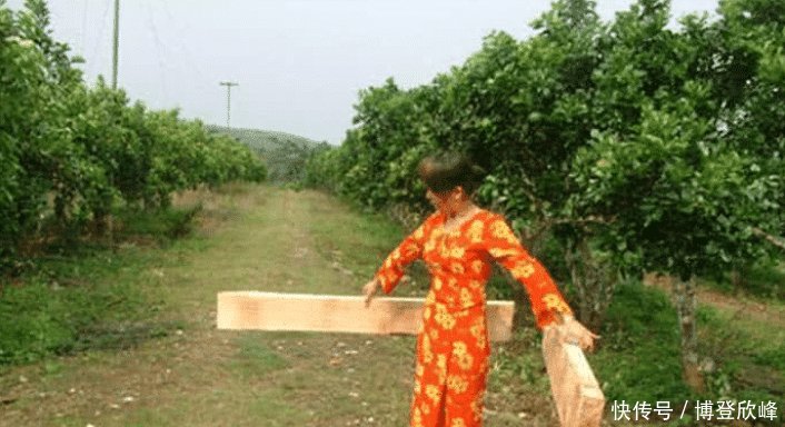  #塞子#世界上最轻的木头，最开始只是在中国只是被用来做保温瓶