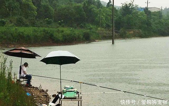 水域的水温■春雨过后好钓鱼!为什么大雨、暴雨后没口呢原因就在这4方面