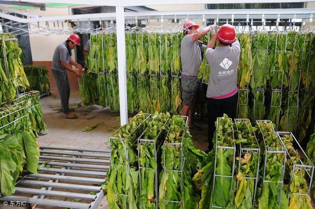 5年后，生活在城里的这3类人，十有八九得返回农村！看看有你吗？