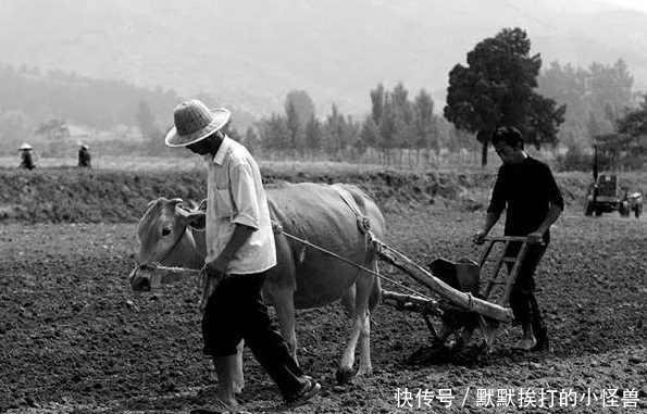  拍摄■外国人拍摄的70年代中国老照片想不到70年代的人们是这样