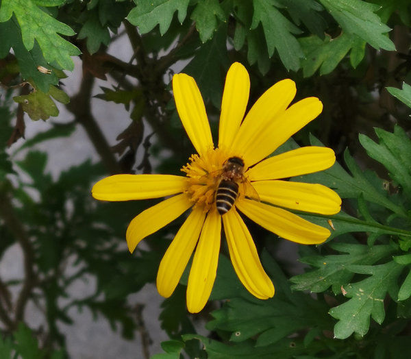 华为Mate 20 Pro上手体验,后置“浴霸三射”带来别样惊喜。