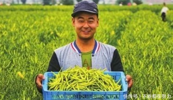  「老无所依」农民也将有退休金了，试点地区已经开放，不用再担