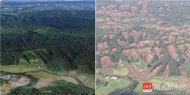 62名中国游客北海道地震中暂失联!回国机票涨过万,航企加班次