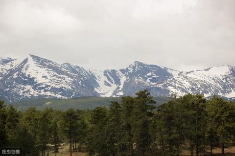 奇闻揭秘｜世界上最阴森的迷宫——日本“死亡森林”：青木原森林