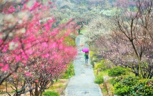 顶级游资大佬豪言:死记这种“笨”方法，散户的命运彻底改变