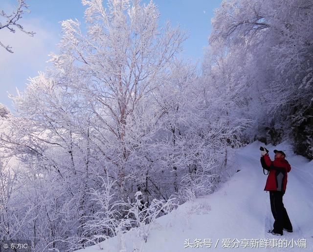 身为河南人的你，河南最高的2座山峰，你去过了吗?