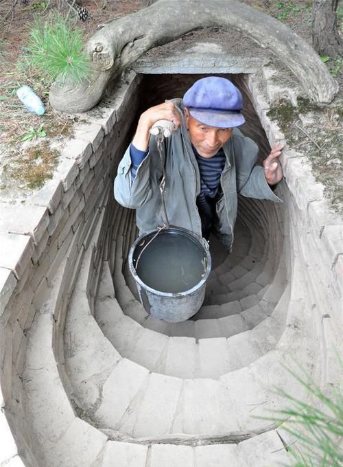  实拍：实拍：农村20岁双胞胎兄弟，耗费48年让400亩黄土变为山林