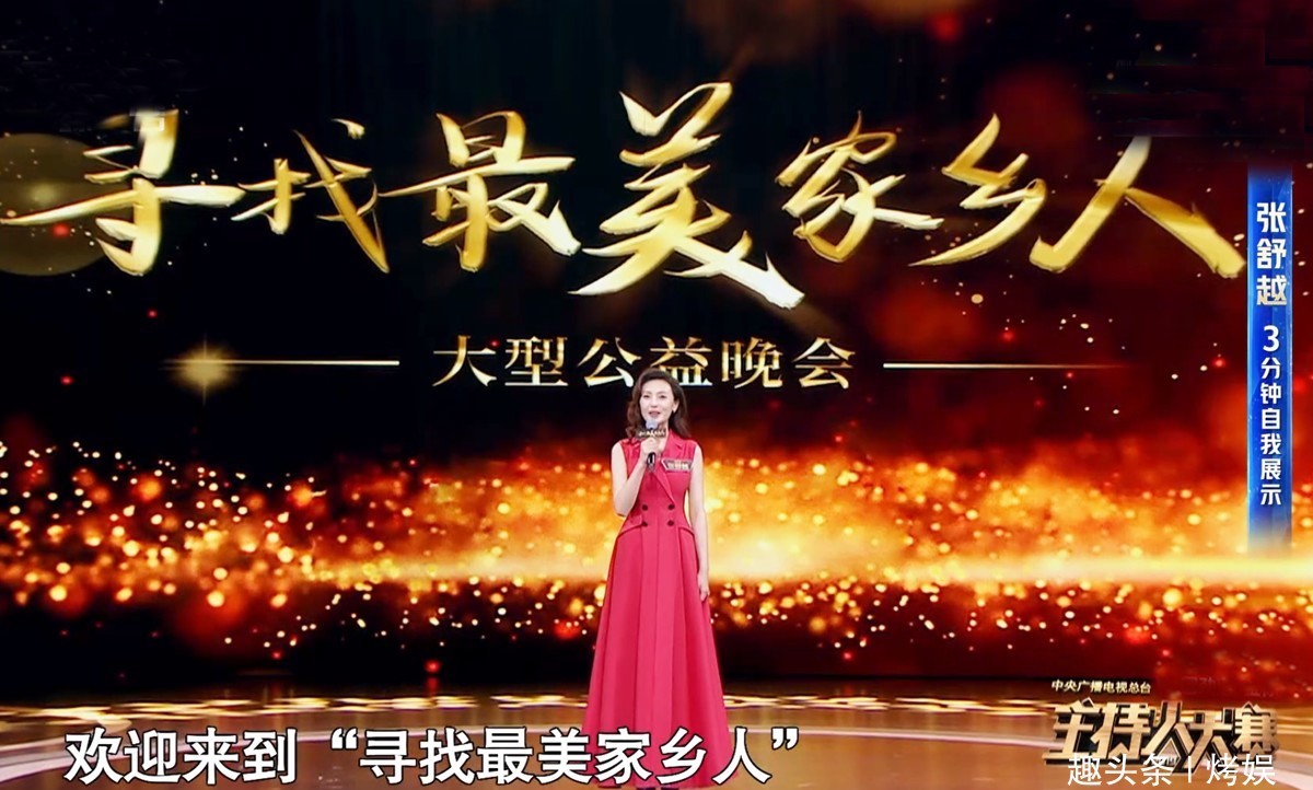 央视节目主持人大大赛