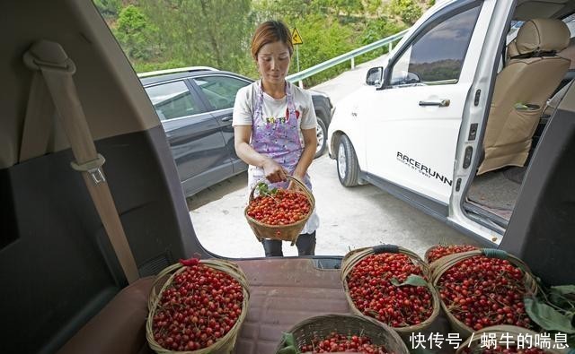  [桃种植基地]贵州黔西：深山樱桃甜