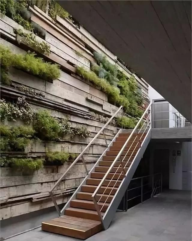 石材装点：你的庭院美得令人窒息