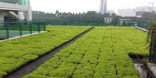  【隔热】顶楼太热怎么办？比空调还管用的妙招，隔热还省电，一举两得