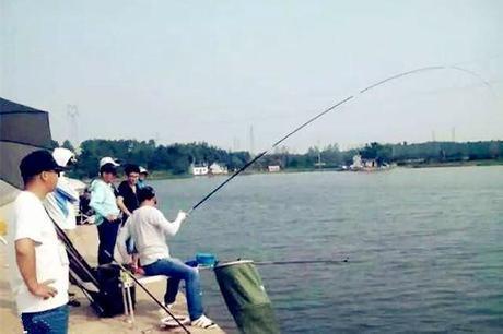 主攻鲫鲤草鱼，中秋节放假去水库垂钓，就使用这两款配方！