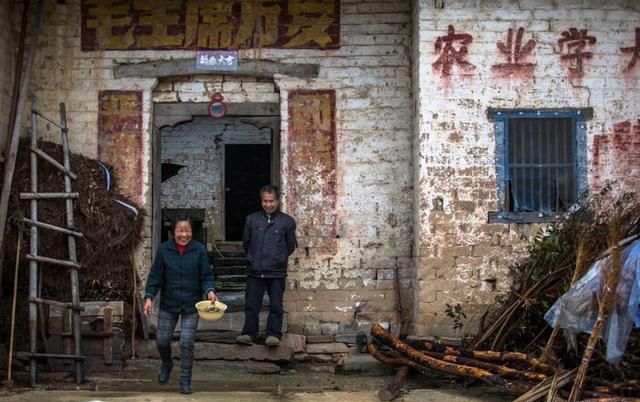 近年农村，“新四害”频出具体指啥？农民苦不堪言，该管管了