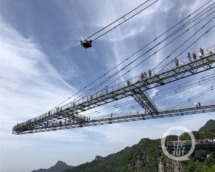 隔着屏幕都能感觉到绝望！奥陶纪悬崖秋千售卖“后悔药”