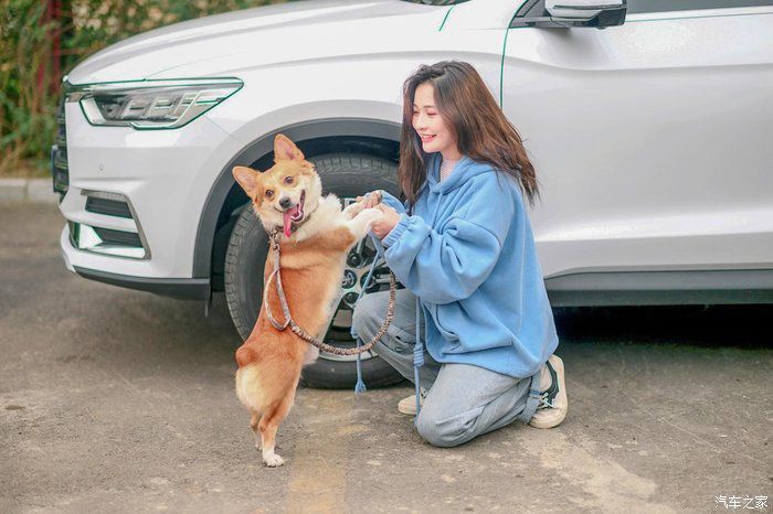  「Pro」开着宋Pro与老婆去遛狗，春暖花开，美好生活在身旁