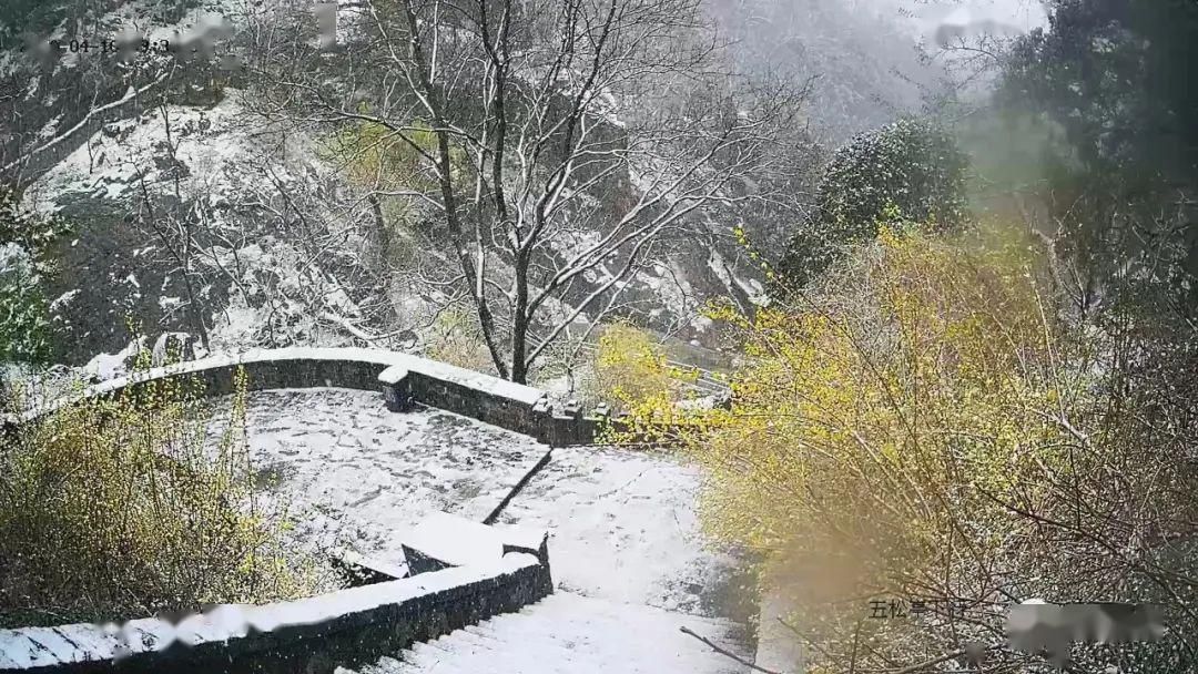  『岱宗』春雪空濛落岱宗，最美人间四月天