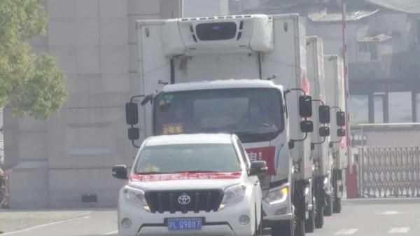  迷彩服■武汉华南海鲜市场附近，出现了一支上海来的“迷彩服小分队”