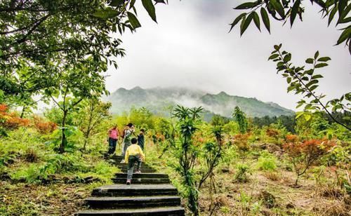 广东有个冷门景区，云雾迷蒙似仙境，很多人不知道