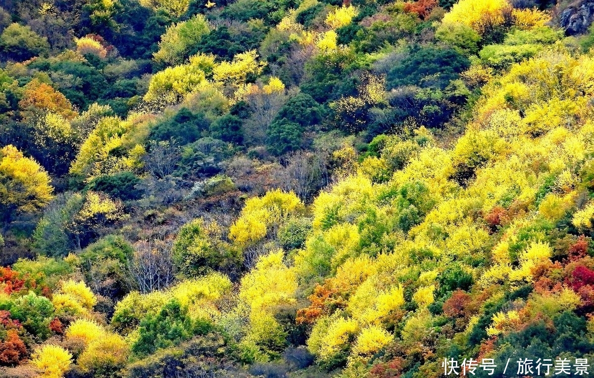 秋天到了,国内十大最美秋季旅游地你不能错过
