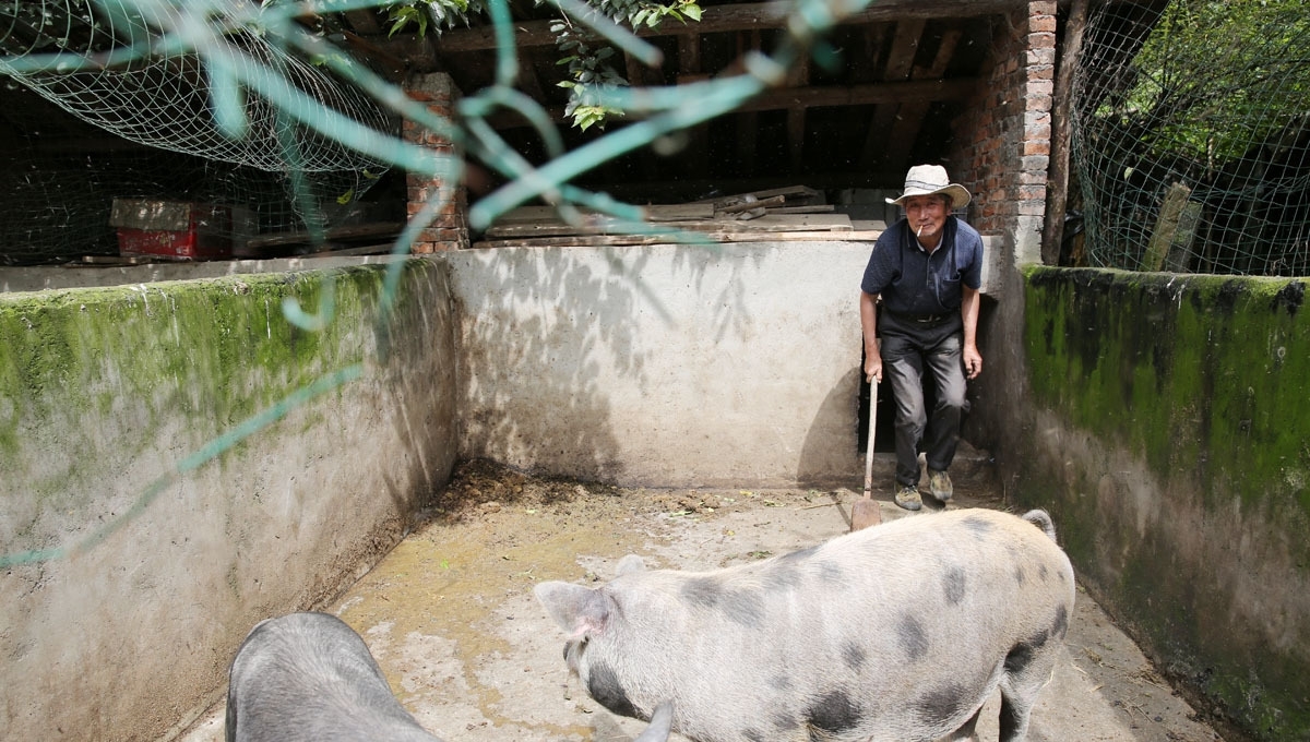 66岁老夫妻留守深山，陪86岁失明老妈，人勤物丰日子越过越好