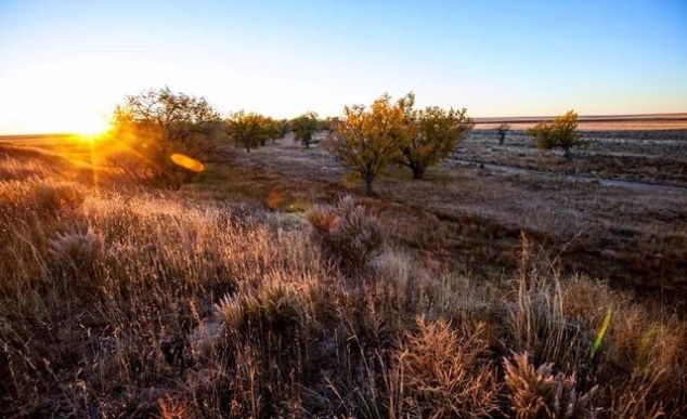 被嫌弃的免费景区：游客去了也不参观景点，直接去溪边淘金