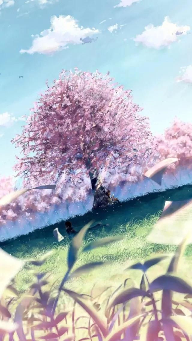 轻微课网校比较好的日系漫画培训机构有哪些?