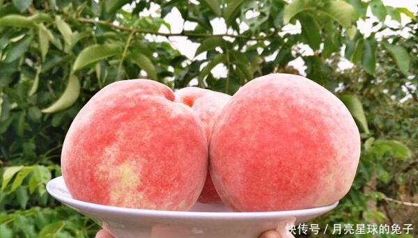 历史■中国两个带“肥”字的城市,其中一个是合肥,另一个你知道是哪吗