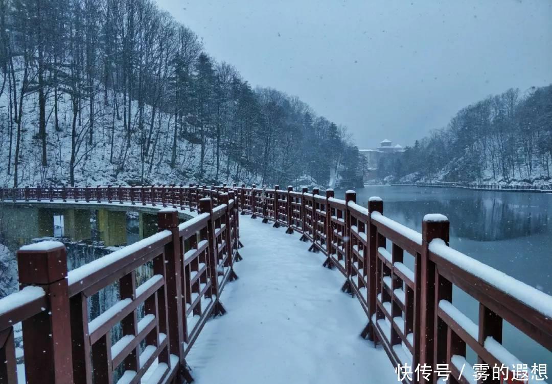 今日冬至：好吃不过饺子，好玩不过白云山