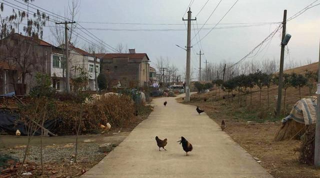  [更好]在未来10年里，农村会更好还是更坏？