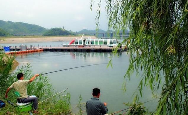  「中招」在黑坑用台钓法钓鱼，新手经常犯这9个错误，仔细看看你中招了吗