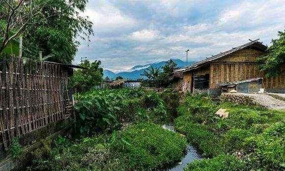  「世界」世界上纬度最高的热带雨林，鲜为人知，就在中国西藏