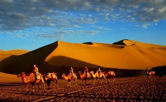 来敦煌的14件事，你体验了几件？