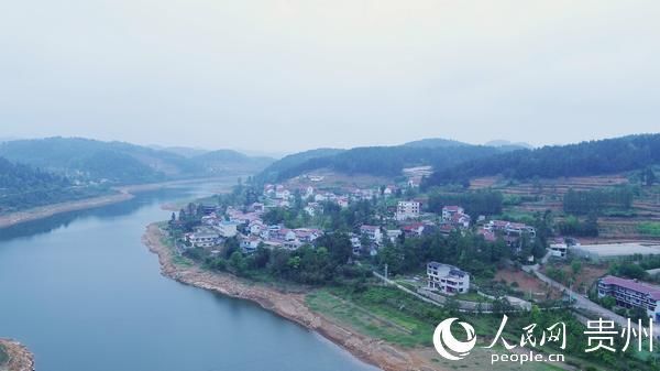  「呼吸」毕节百里杜鹃：一个被森林覆盖的村庄 展现会呼吸的智慧