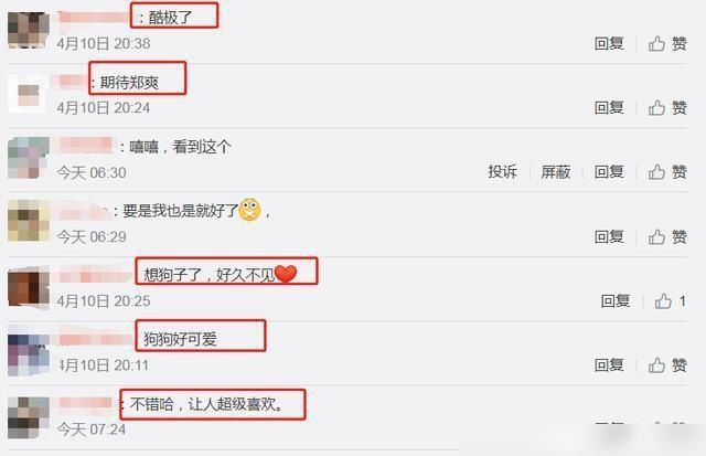  『综艺』郑爽录综艺路透曝光，看到爽妹子洗车的姿势，确定是在洗车？