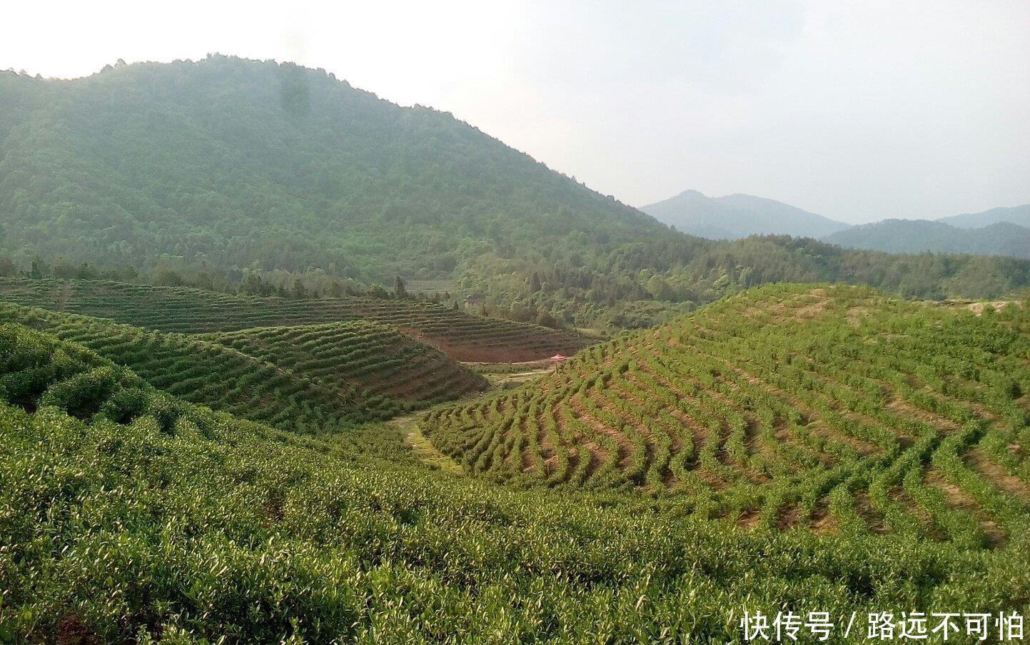 江西宁都有哪些红色旅游景点？