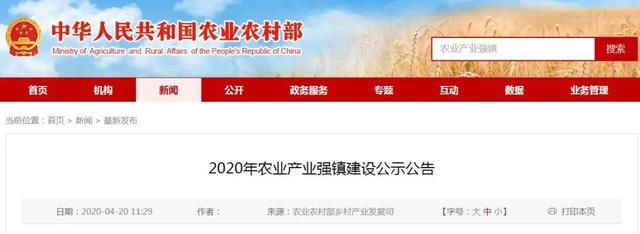  「国家级」正在公示！安徽这12个地方要建国家级强镇