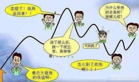 为什么散户买进的股票不涨反降?你没赚钱,是因